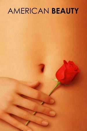 American Beauty (1999) Hindi Dual Audio [900MB]