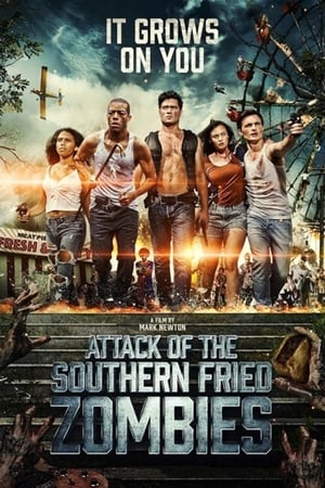 Attack of the Southern Fried Zombies (2017) Hindi Dual Audio 300MB