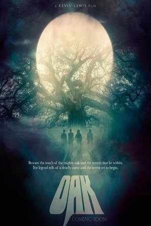 Never Any Blue (2025) Hindi (MULTI AUDIO) – – 1080p